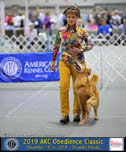 2019 Obedience Classic