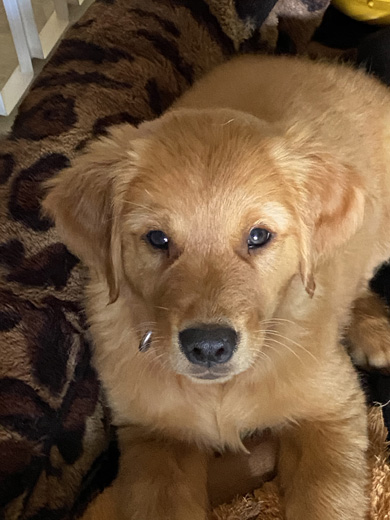 Gunny First picture