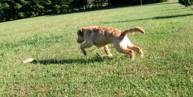 Soldier at 4 months