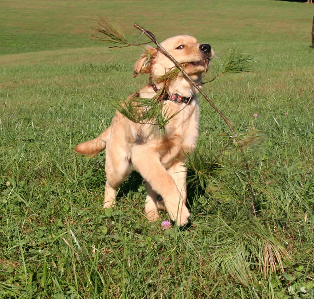 Soldier at 4 months
