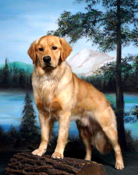 Soldier at 1 year old